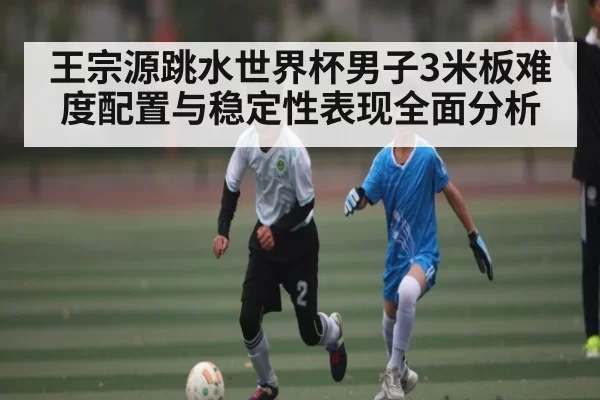 王宗源跳水世界杯男子3米板难度配置与稳定性表现全面分析